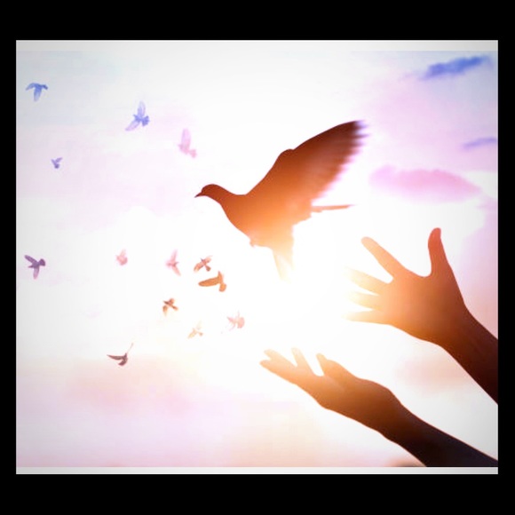 Meet your Posher - Picture 1 of 1